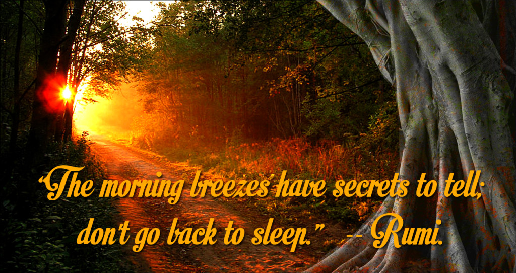 Morning breezes have secrets