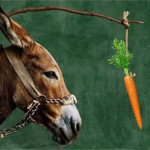 donkey-and-carrot